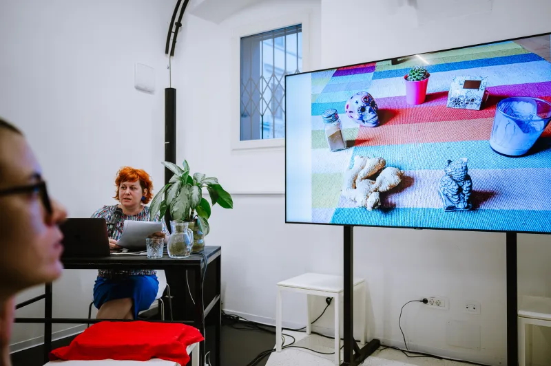 Ženska za računalnikom, na televiziji kaže različne predmete